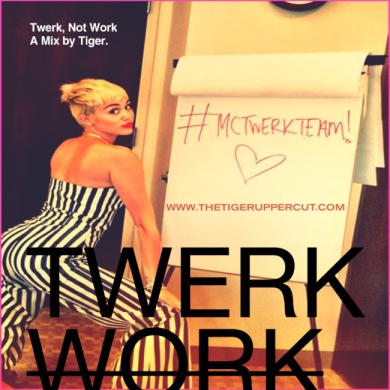 twerk-not-work